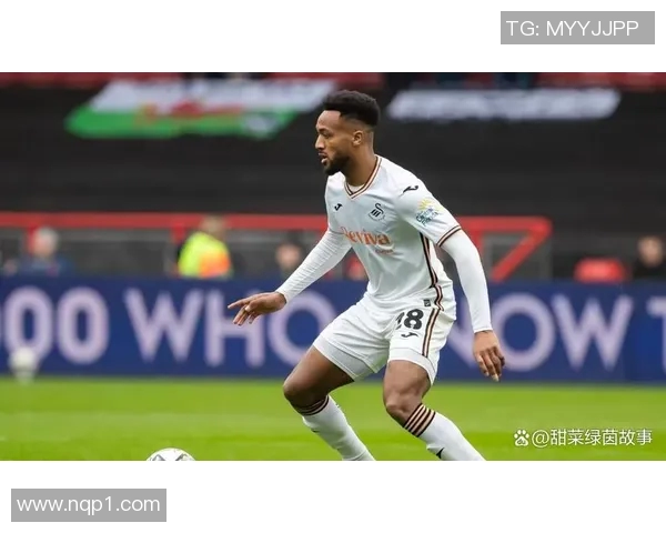 斯托克城与斯旺西对决前瞻分析及双方近期状态评估 斯托克城与斯旺西对决前瞻分析及双方近期状态评估